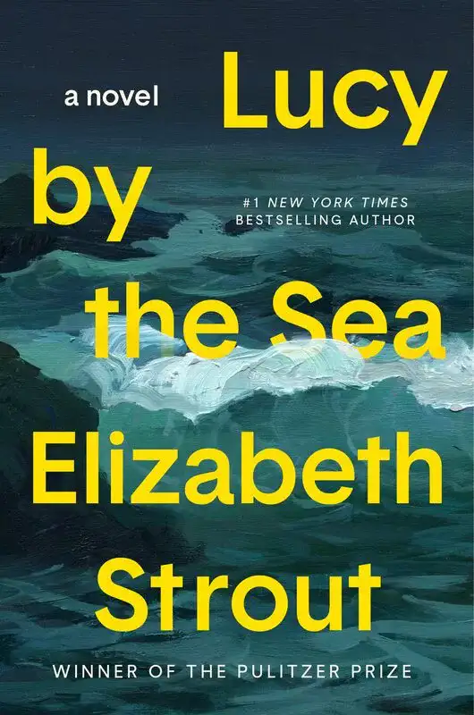 Lucy by the Sea Elizabeth Strout 1