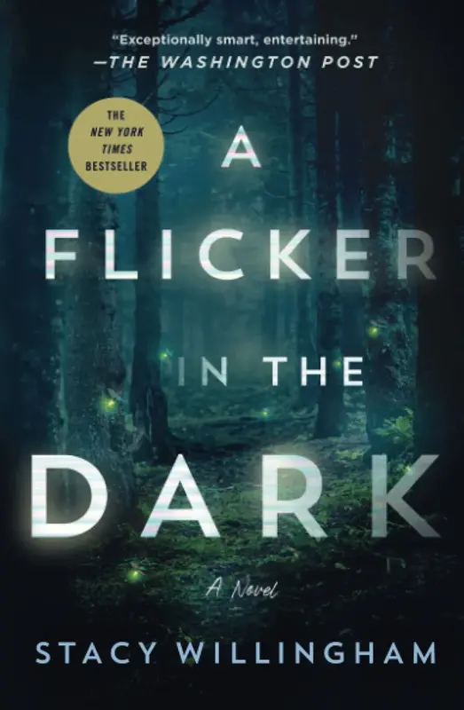 a_flicker_in_the_dark_book