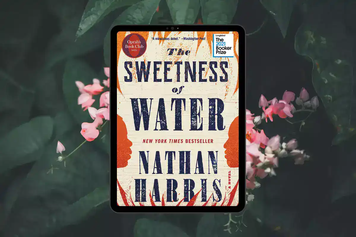 the_sweetness_of_water_book_club_questions