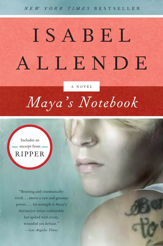 mayas_notebook_book