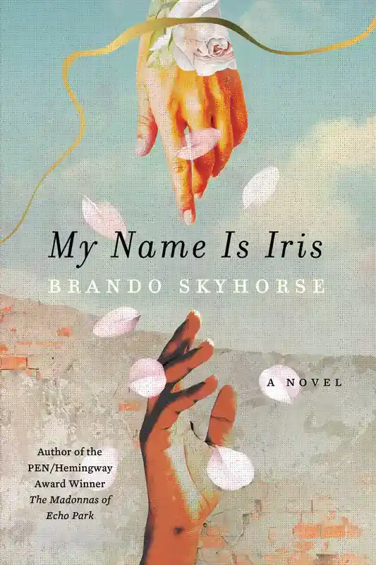 my_name_is_iris_book