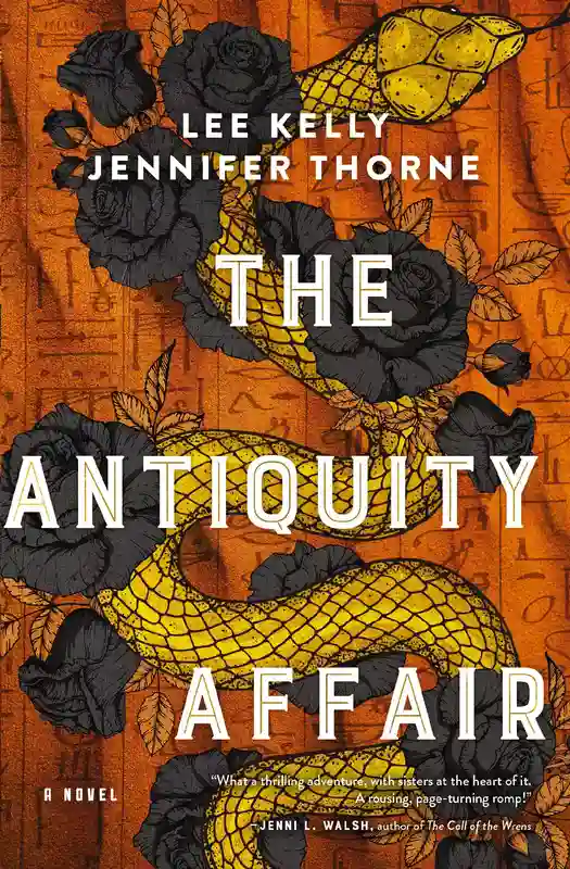 the_antiquity_affair_book
