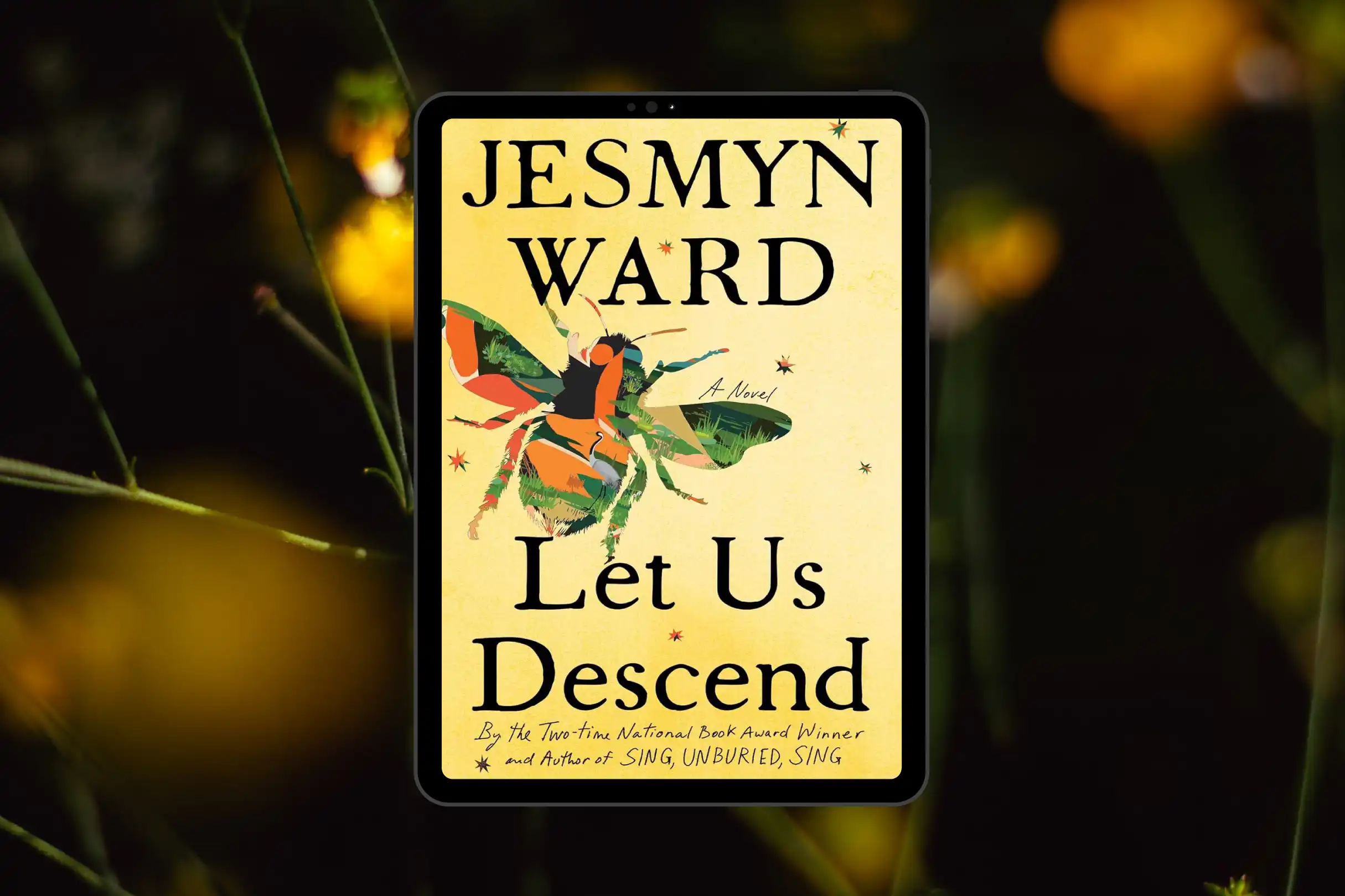 let_us_descend_book_review