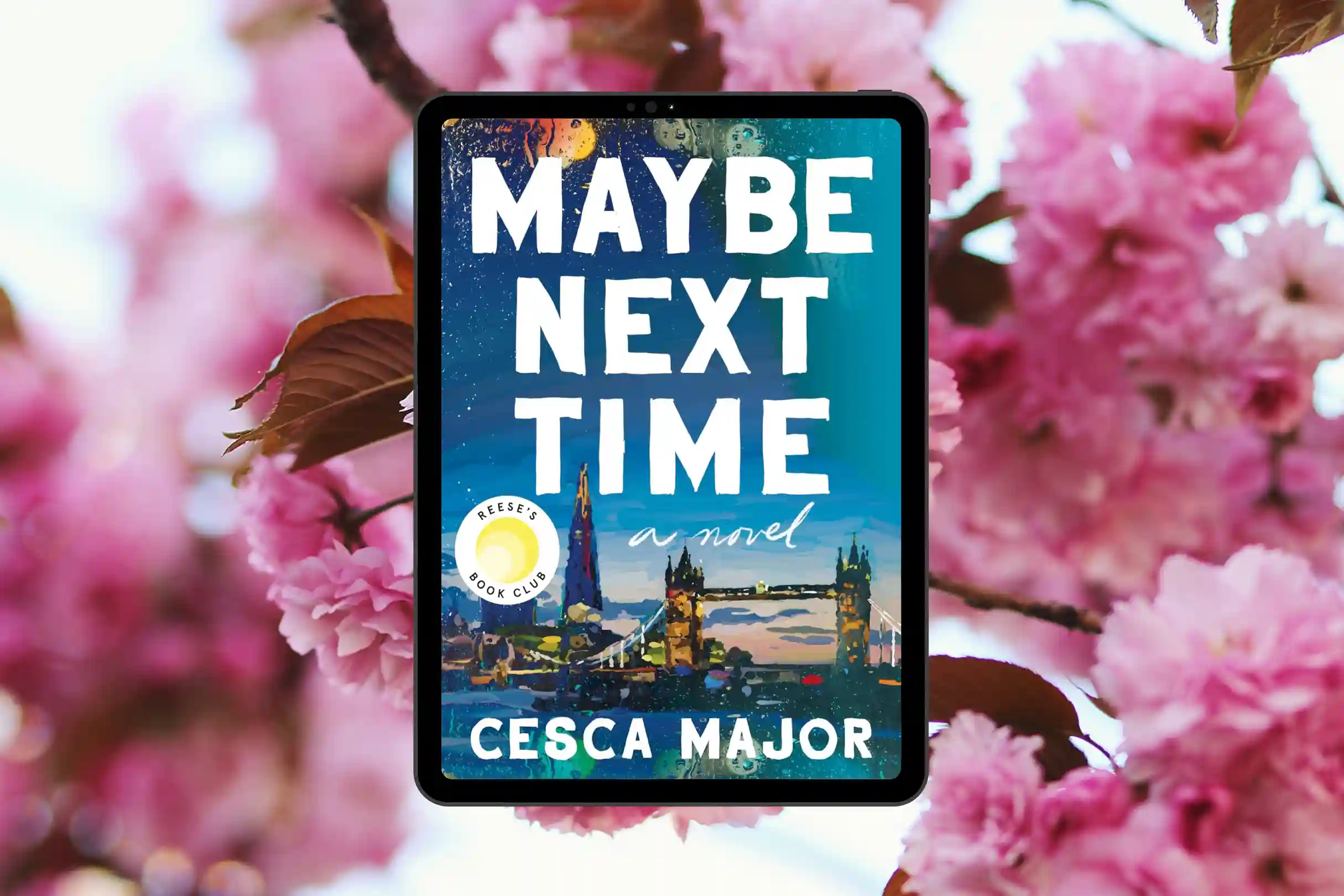 maybe_next_time_book_review