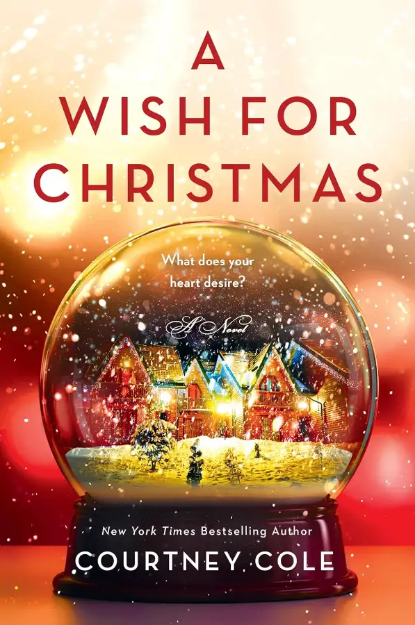 a_wish_for_christmas_book