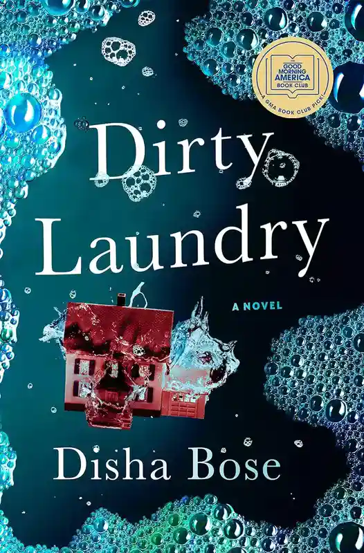 dirty_laundry_book