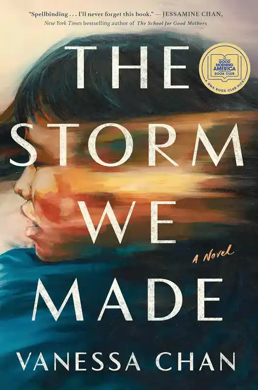 the_storm_we_made_book