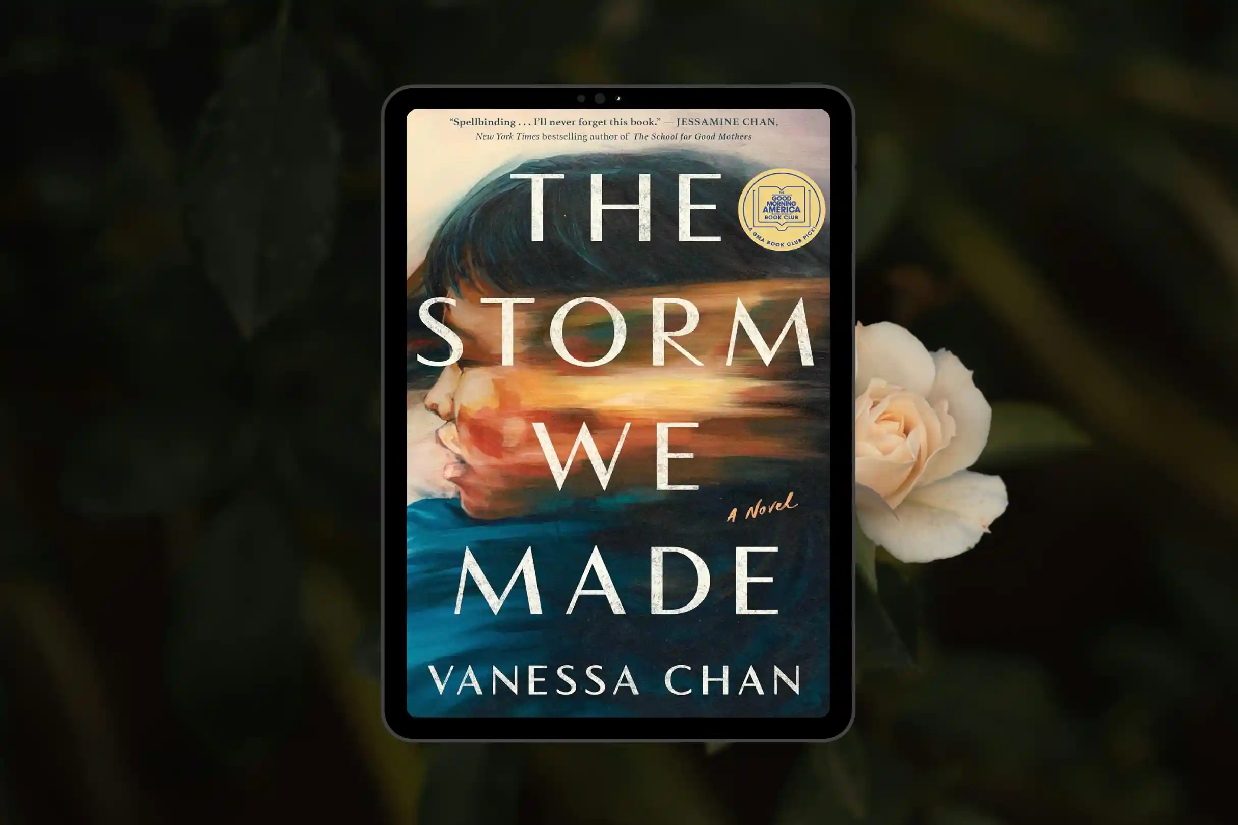 the_storm_we_made_book_club_questions