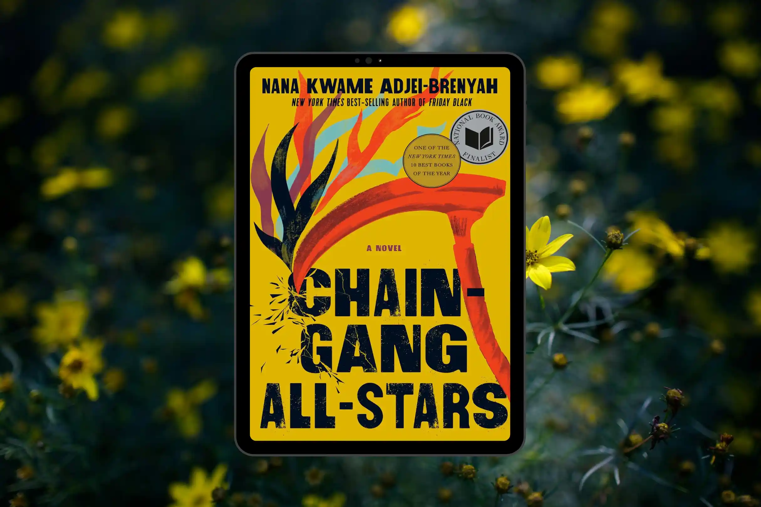 chain_gang_all_stars_book_discussion_guide