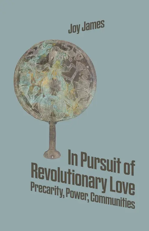 in_pursuit_of_revolutionary_love_book